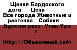 Щенки Бордоского дога.  › Цена ­ 30 000 - Все города Животные и растения » Собаки   . Бурятия респ.,Улан-Удэ г.